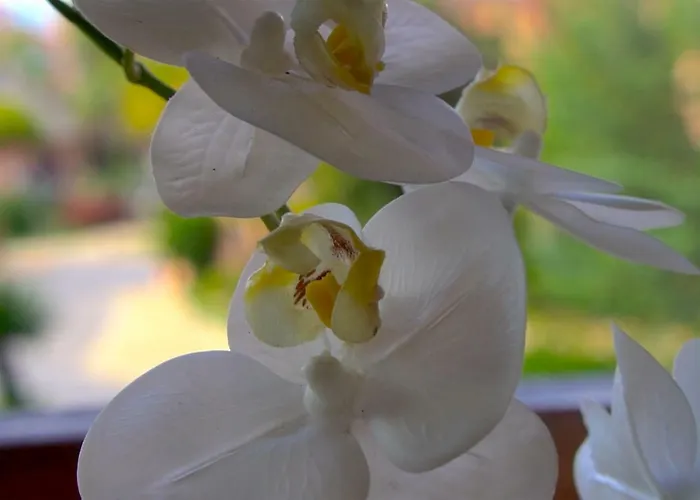 Marbella - Luxury & Spacious Next To Marriott Playa Andaluza - Private Heated Jacuzzi Estepona